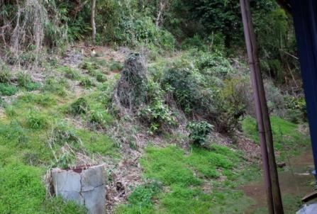写真２　ワラホウデン周囲の状況を説明する