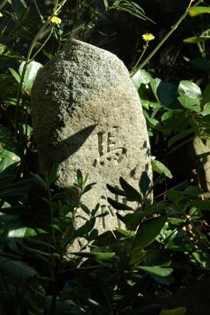 写真９　朝の斜光で撮影した石塔