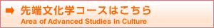 先端文化学コースはこちら_英語