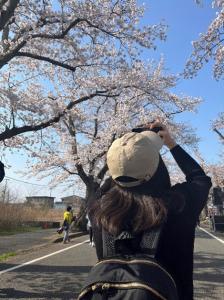 富江町